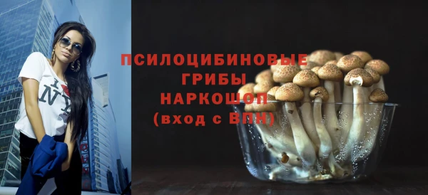 ПСИЛОЦИБИНОВЫЕ ГРИБЫ Бородино