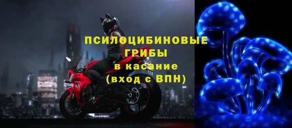 PSILOCYBIN Бронницы