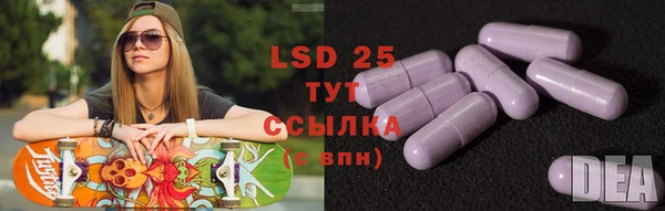 ПСИЛОЦИБИНОВЫЕ ГРИБЫ Бородино