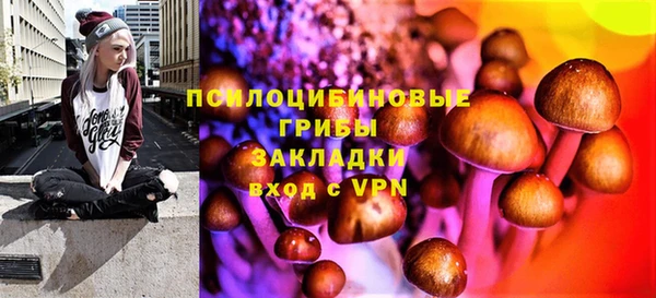 PSILOCYBIN Бронницы