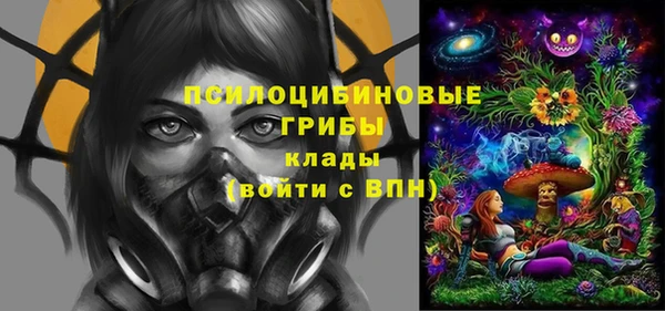 PSILOCYBIN Бронницы