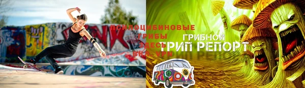 ПСИЛОЦИБИНОВЫЕ ГРИБЫ Бородино