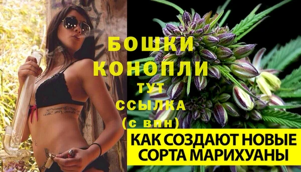 ПСИЛОЦИБИНОВЫЕ ГРИБЫ Бородино