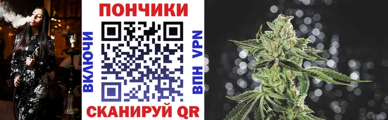 Бошки марихуана SATIVA & INDICA  Котельниково 